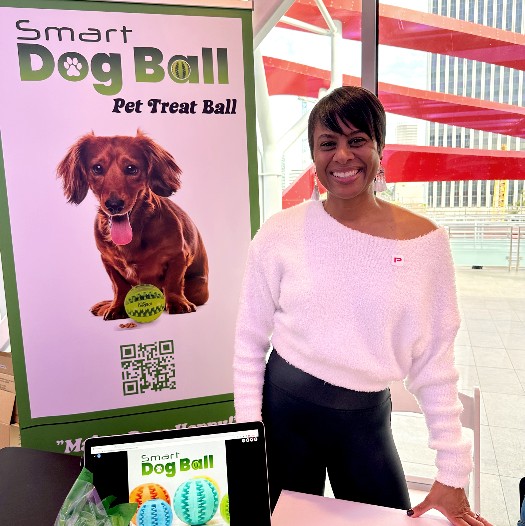 smart dog ball