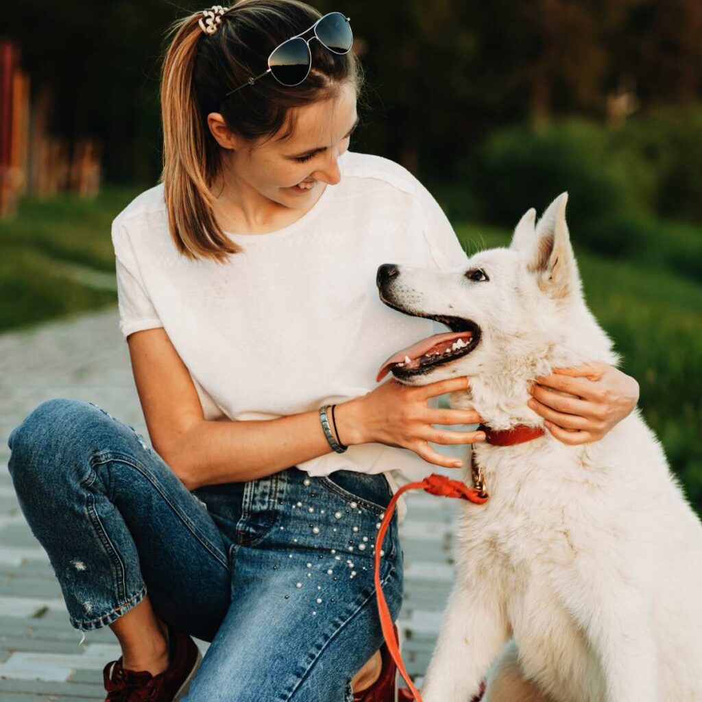 Everything You Should Know About Adopting a Dog