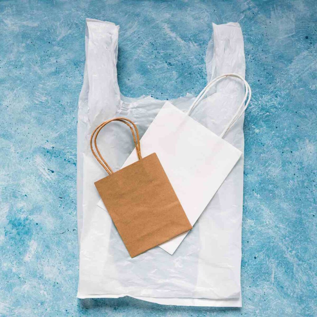 Plastic or Paper Bags: Which Is Better for Customers?