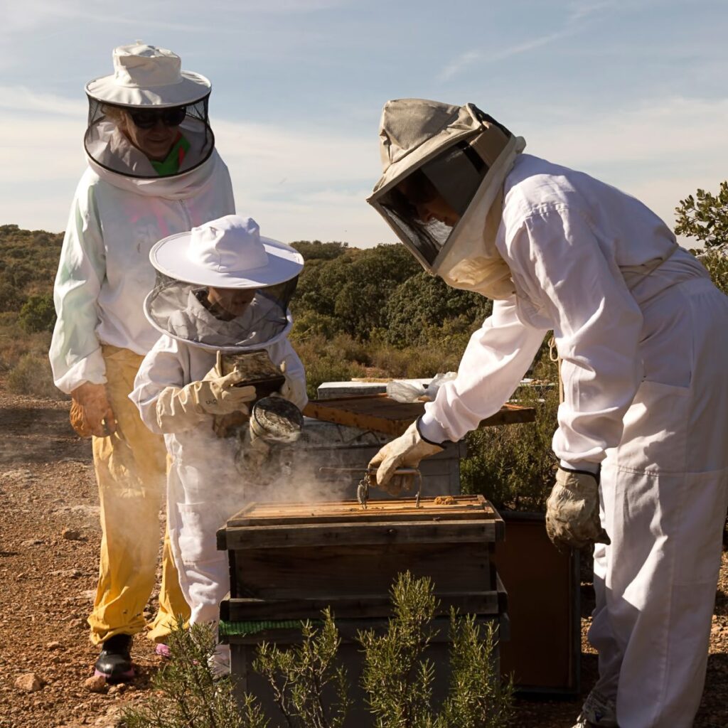 Reasons To Involve Your Kids in Beekeeping