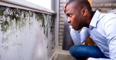3 Common Places You’ll Find Mold in Your Home