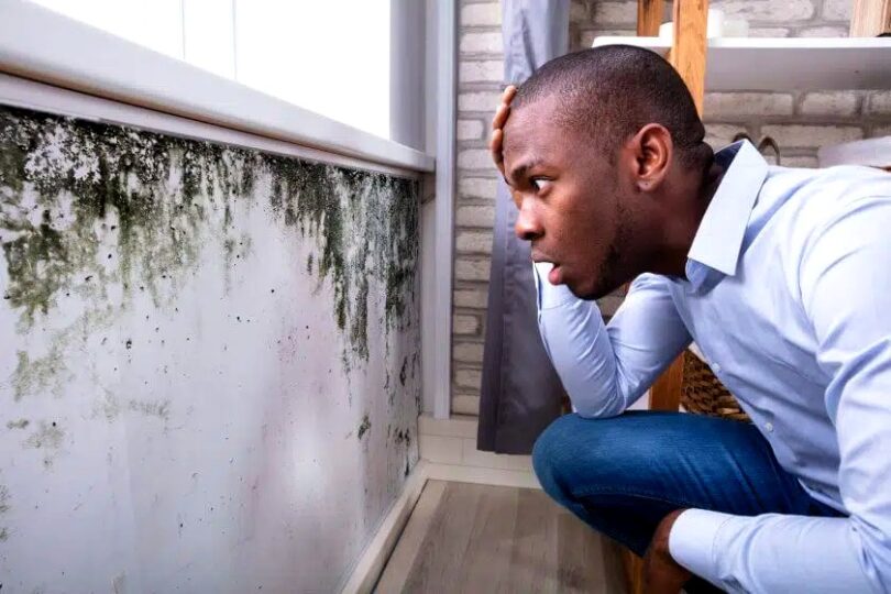 3 Common Places You’ll Find Mold in Your Home