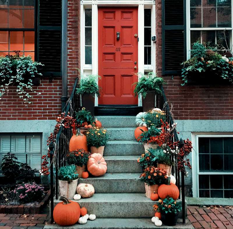 Embrace the Cozy Vibes: Decorating Your Home for the Fall Season - LA's The  Place
