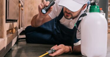 Benefits of Hiring Professional Pest Control Services