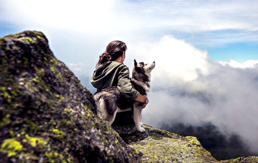 coping with pet loss