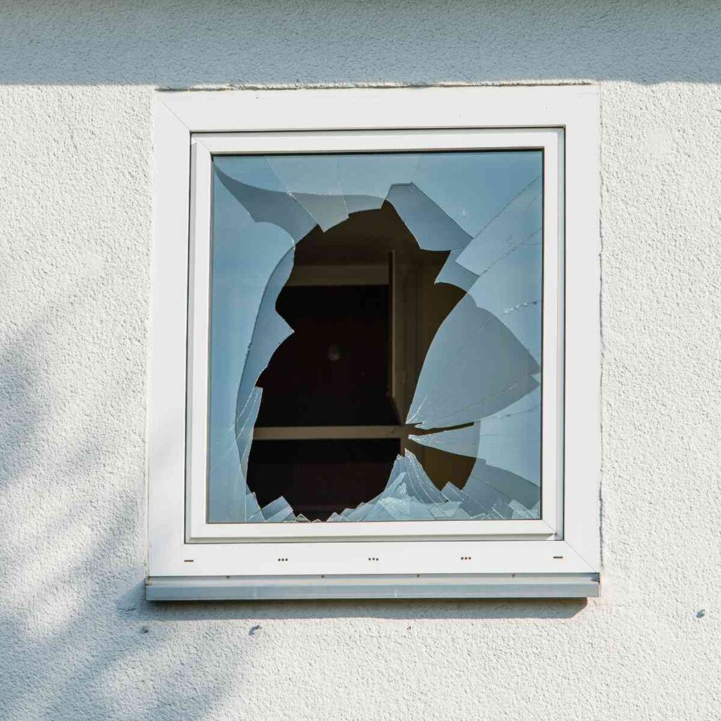 Issues To Look For in Your Home After an Earthquake