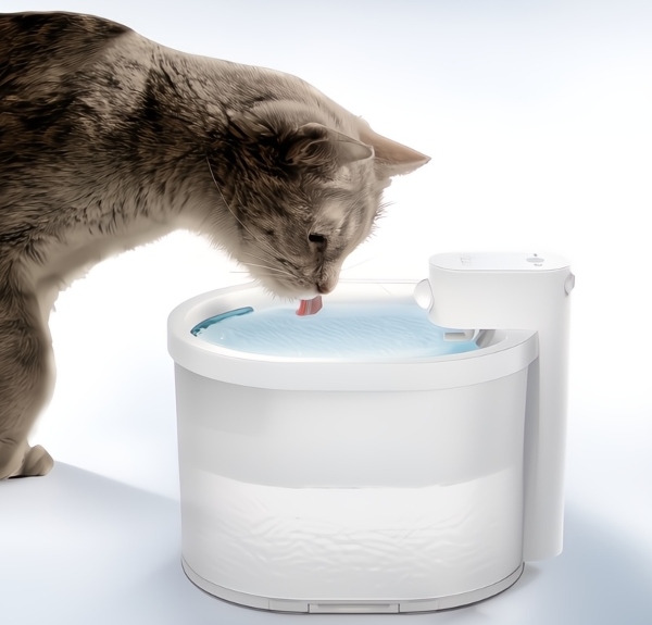 cat drinking fountain