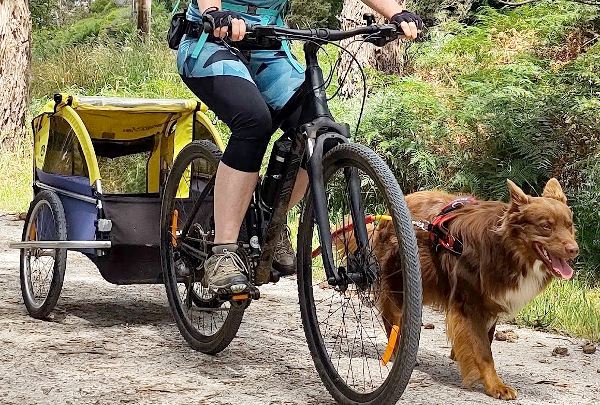 Active Dog Month with Bike Tow Leash
