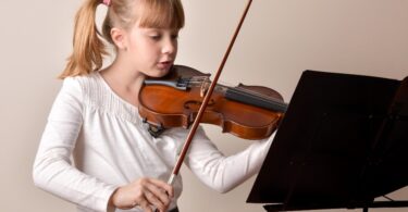 How to Choose a Violin Bow