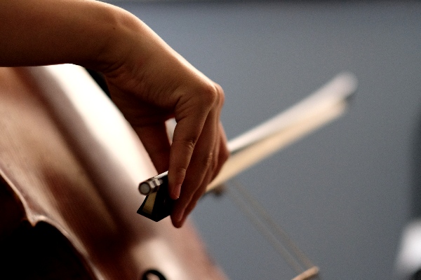 How to Choose a Violin Bow