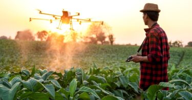 drones for land reclaimation