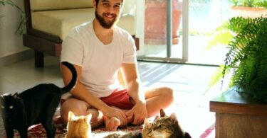 Improve Your Mental Health Professionally and at Home