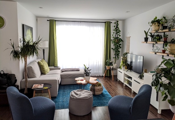 Improve Your Mental Health Professionally and at Home