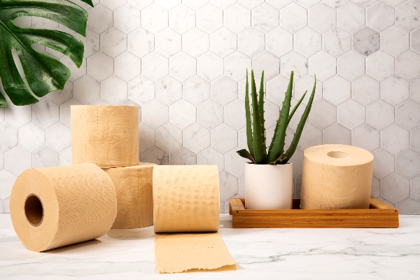 HeyBamboo eco-friendly toilet paper