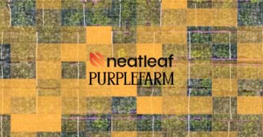 neatleaf purplefarm partnership