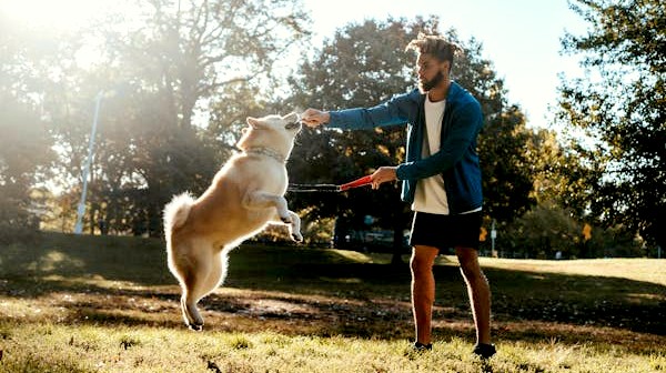 keep your canine healthy keep your canine healthy