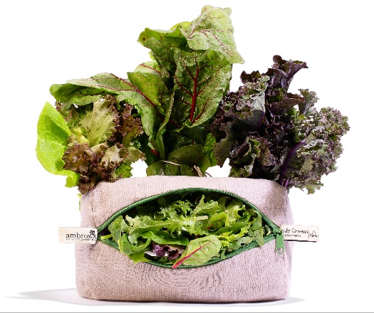 Ambrosia Refridgerator Produce Bags