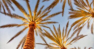 California best Place for Rehab