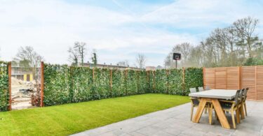 A backyard terrace has a table with some chairs on some concrete, next to a grassy area framed by decorative wall plants.
