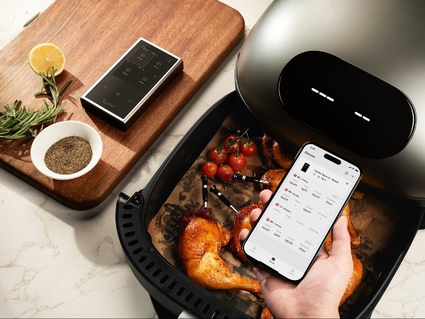 professional meat thermometers professional meat thermometers