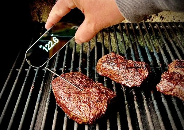 professional meat thermometers professional meat thermometers