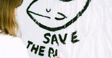 graphic design certificate online