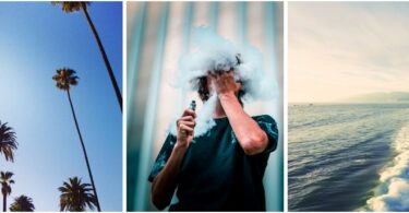 Rise of Pesticides in California’s Cannabis