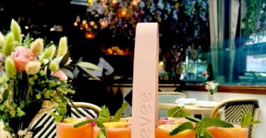 Bevee 6-Drink Carrier