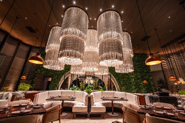 Lenny Kravitz Nocheluna Sotol Mijo Modern Mexican