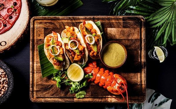 Lenny Kravitz Nocheluna Sotol Mijo Modern Mexican