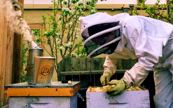 drizzle honey beekeepers drizzle honey