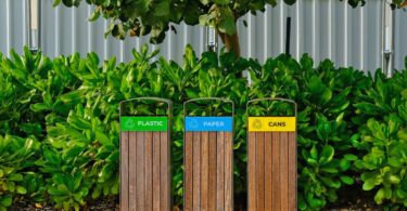 A set of plastic, paper, and cans waste baskets. These bins are sitting in front of a vibrant tree and bushes.