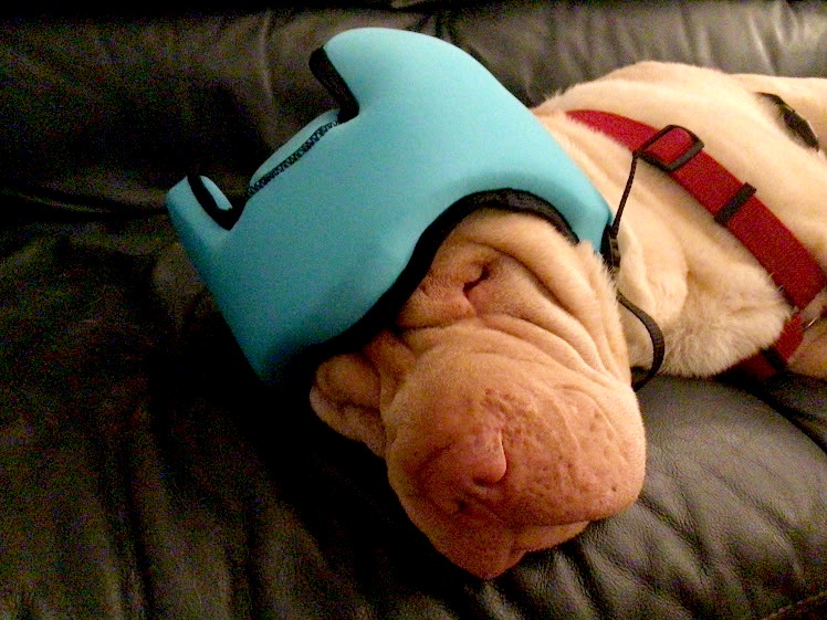 PAWNIX Noise-Cancelling Headphones for dogs