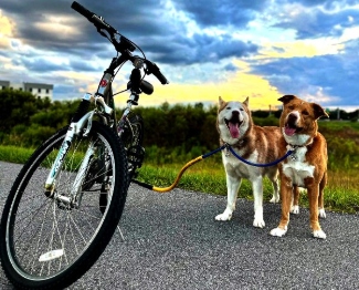 Bike Tow Leash