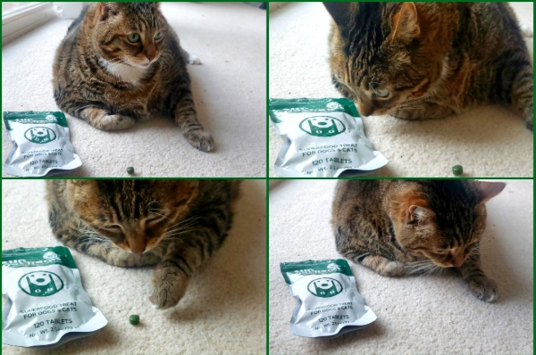 Sun Chlorella Pet Treats