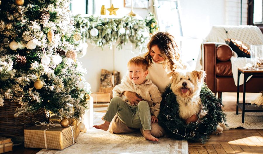 holiday gift ideas for home and family