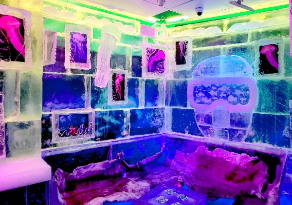 Minus5º ICEBAR Experience Mandalay Bay Minus5º ICEBAR Experience