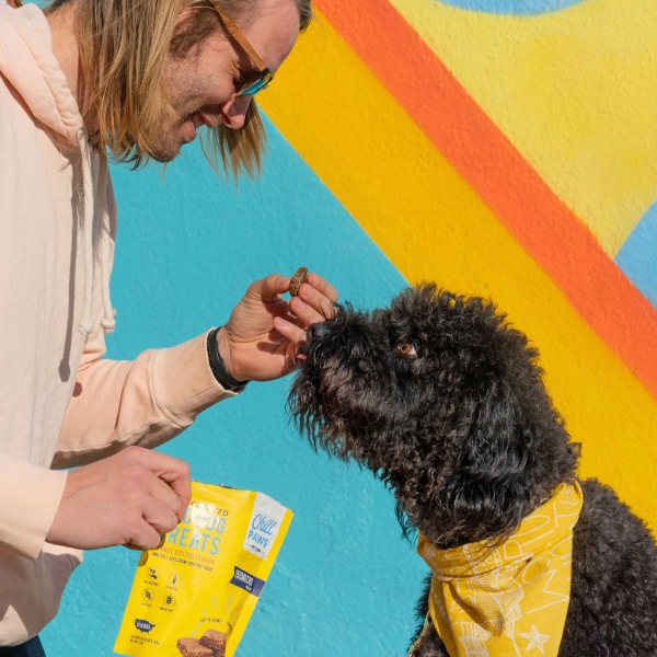 Chill Paws CBD for dogs and cats Chill Paws CBD for dogs and cats