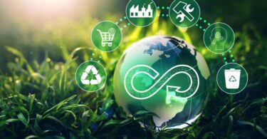 A small globe with an infinity symbol on it rests in a field of grass with recycling and economic symbols above it.