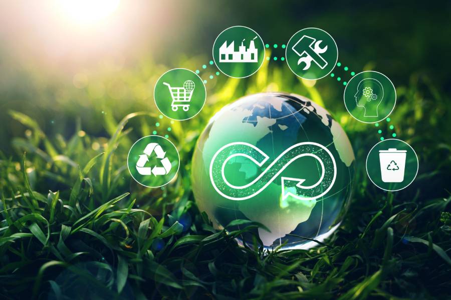 A small globe with an infinity symbol on it rests in a field of grass with recycling and economic symbols above it.