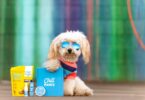 Chill Paws CBD for dogs and cats