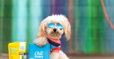 Chill Paws CBD for dogs and cats