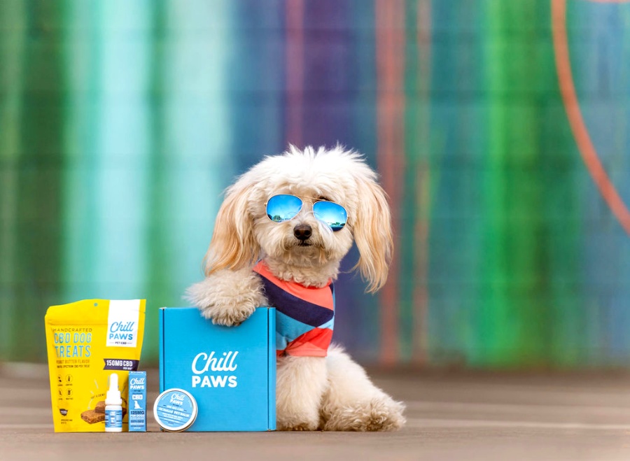 Chill Paws CBD for dogs and cats