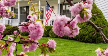 A view of a white house and front porch with an American Flag on display, as seen through the blooms of a cherry blossom tree.