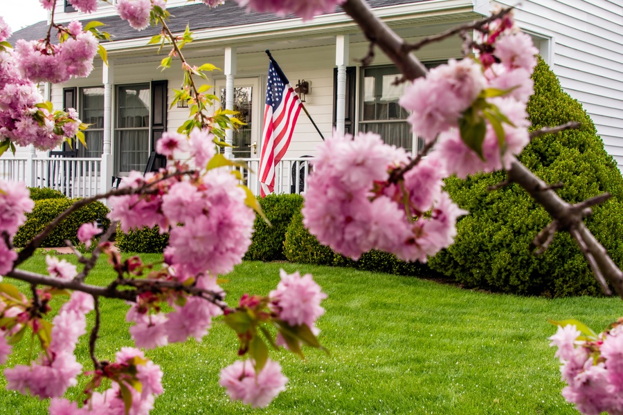 A view of a white house and front porch with an American Flag on display, as seen through the blooms of a cherry blossom tree.