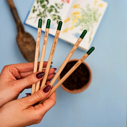 SproutWorld’s Plantable Pencils