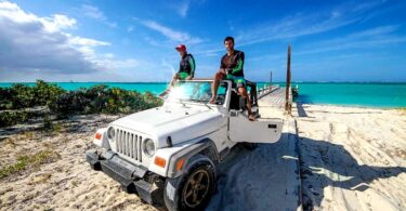 Vehicles That Match a Life on the Move