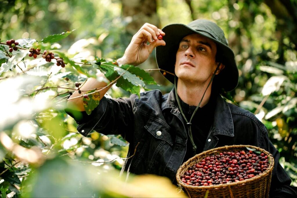 Best Online Coffee Stores Offering Sustainable and Ethically Sourced Coffee Beans