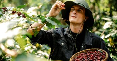 Best Online Coffee Stores Offering Sustainable and Ethically Sourced Coffee Beans