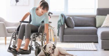 A young woman in a wheelchair petting her service dog that is lying on the floor. Behind her is a living room.